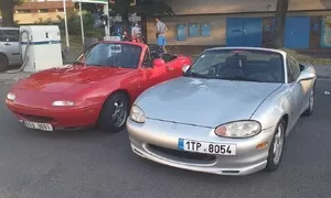 Miat není nikdy dost: Počkat ono to žije?