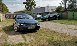 Dva a půl kohouta na jednom smetišti 