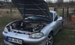 Miat není nikdy dost: Ťuk ťuk, kdo tam?