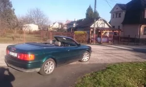 Ze života se zelenou schizofrenií...