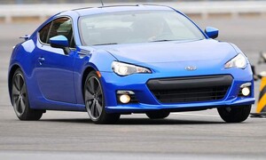 Editorial: Teorie nekonečného stáda aneb proč nám nestačí 200 koní?