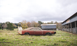 Historie, Novinky: Raritní Charger Daytona zachráněný ze stodoly míří do aukce