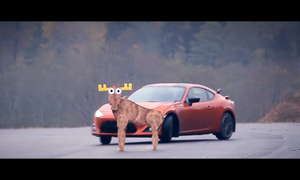 TopX: Neobvyklé automobilové testy: Moose test