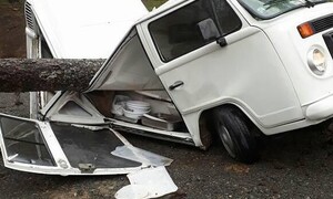 Novinky: VW T2 versus strom: 1:0