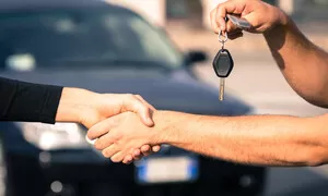 Zlatá vrána 2019: Investiční klenoty české inzerce