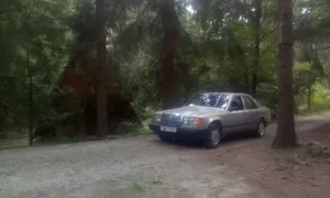 Za tu fotku to stálo