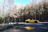 Autíčkářský "Sunday morning drive" 2020 (začneme v květnu)