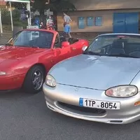 Miat není nikdy dost: Počkat ono to žije?