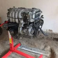 Miat není nikdy dost: Počkat ono to žije?
