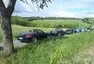 Sunday morning drive report: Okolo Brd aneb kdo z nás byl vlastně Beastar?