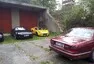 Sunday morning drive report: Okolo Brd aneb kdo z nás byl vlastně Beastar?