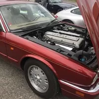 Sunday morning drive report: Okolo Brd aneb kdo z nás byl vlastně Beastar?