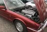 Sunday morning drive report: Okolo Brd aneb kdo z nás byl vlastně Beastar?