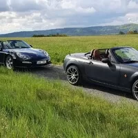 Sunday morning drive report: Okolo Brd aneb kdo z nás byl vlastně Beastar?