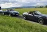 Sunday morning drive report: Okolo Brd aneb kdo z nás byl vlastně Beastar?