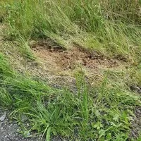 Přežil jsem závody, doslova...