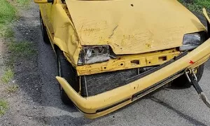 Potvora zas žije!
