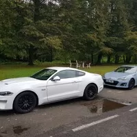 Mustang GT (2020) - jaký je V8 s manuálem?