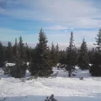 Mezisváteční trip