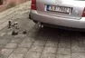 Příběh sypala co se nerozsypal část... ?