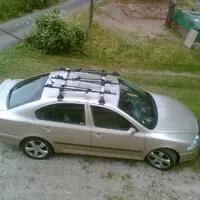Co je kvalifikací správného autíčkáře?