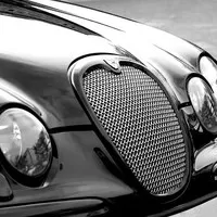 Jaguar, racionální rozhodnutí