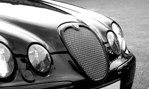 Jaguar, racionální rozhodnutí