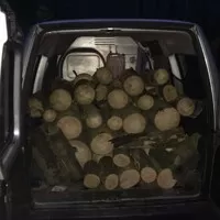 Dřeva se taky vejde hodně.