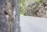 Best driving ever. A s octávkou!