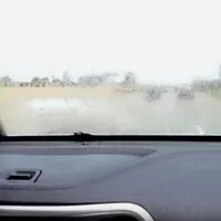hacknuty-jeep-ostrikovace