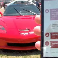 hacknuta-vette-sms