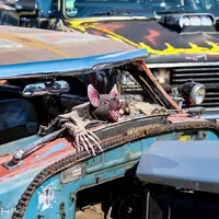 US Car Convention