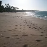 Portorikánská střela