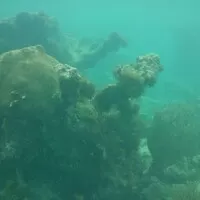 Portorikánská střela