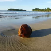 Portorikánská střela