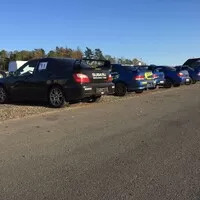 Harakiri po česku