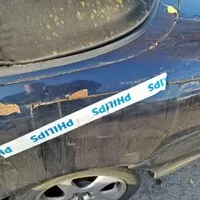 Bedna kytu se představuje