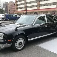 vrchol potravinoveho retazca