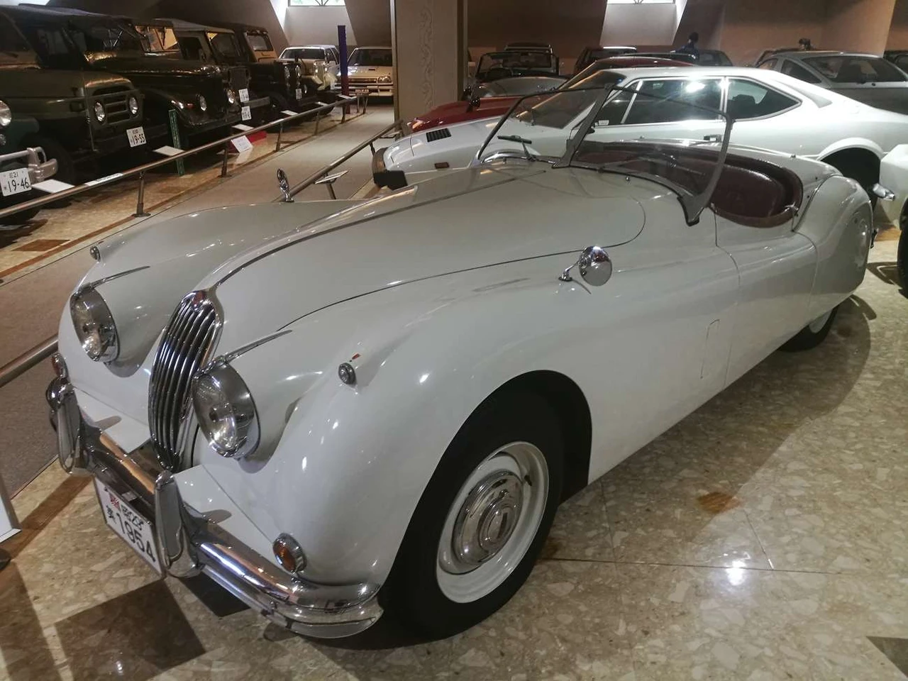 jaguar
