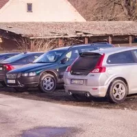 Dva a půl kohouta na jednom smetišti 
