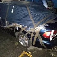 Dva a půl kohouta na jednom smetišti 