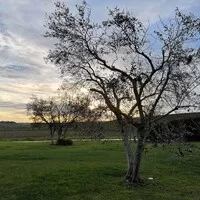 Il Gran Tour della Toscana