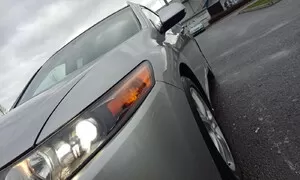 Hledá se daily!!!