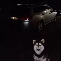 Hledá se daily!!!