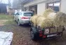 Hledá se daily!!!