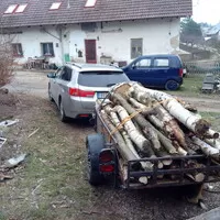 Hledá se daily!!!