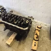 Miat není nikdy dost: Ťuk ťuk, kdo tam?