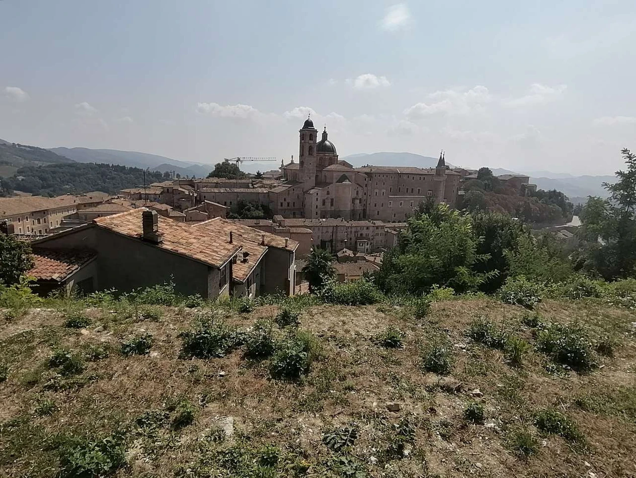 Urbino