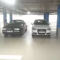 Ze života se zelenou schizofrenií...