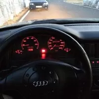 Ze života se zelenou schizofrenií...